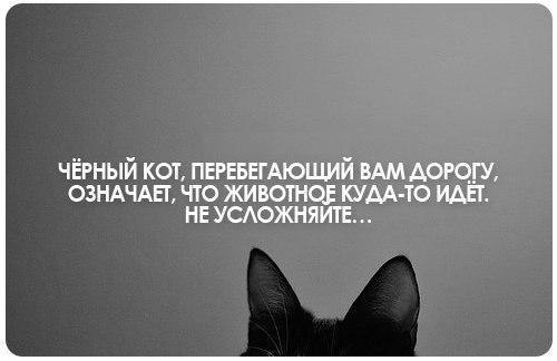 Немного позитива