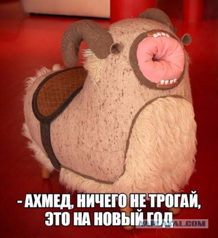 Картинки смешные и несмешные