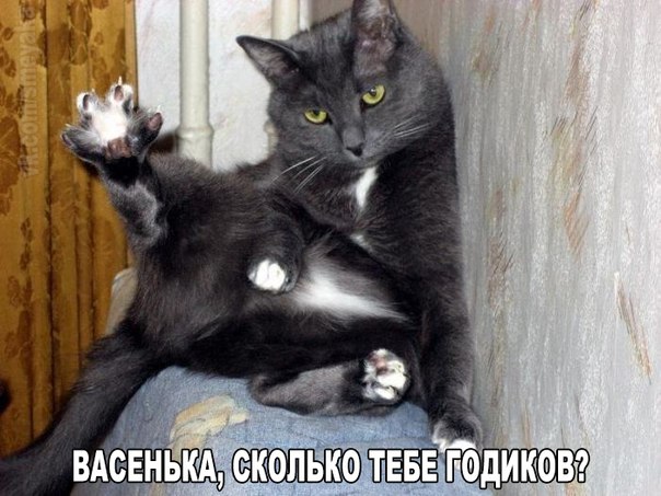 Картинки и демотиваторы