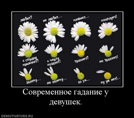 Гадания прикольные картинки, днем рождения открытки