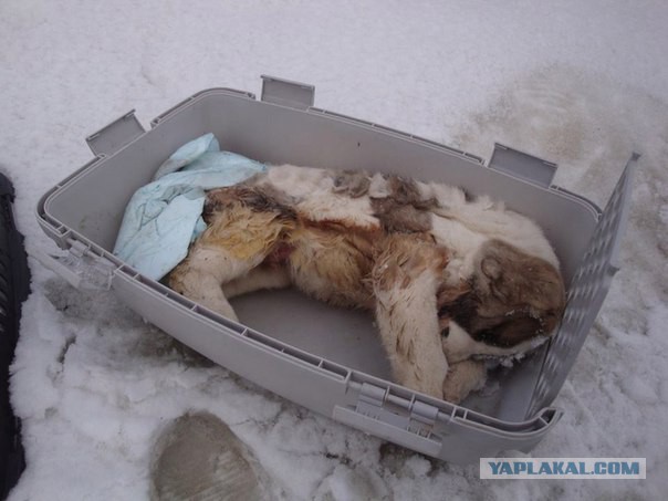 О людях - "нелюдях"!