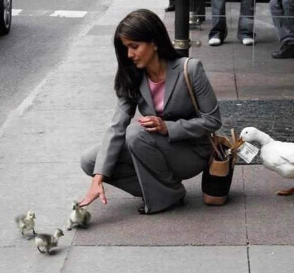 Подборка интересных и веселых картинок