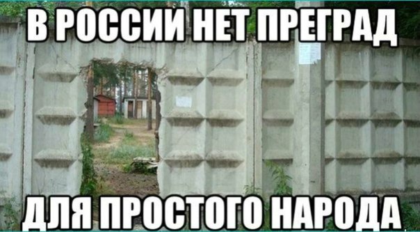 Ассорти картинок из сети