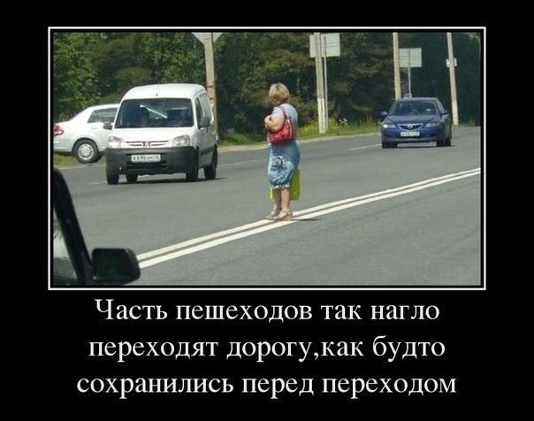 Порция картинок из сети.