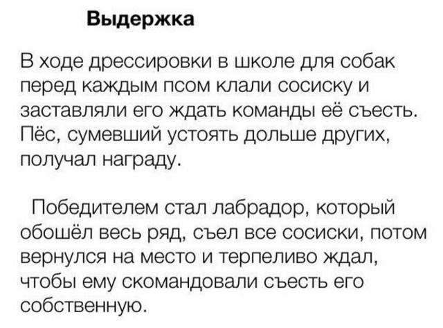 Немного картинок и демотиваторов