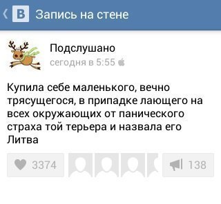 Литва готова остановить «агрессора»