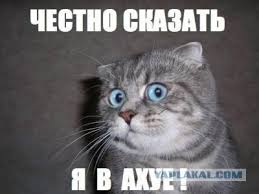 Картинки. Тупые. Очень. 18+ продолжение