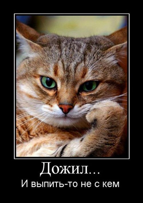 30 картинок с просторов на алкогольную тематику