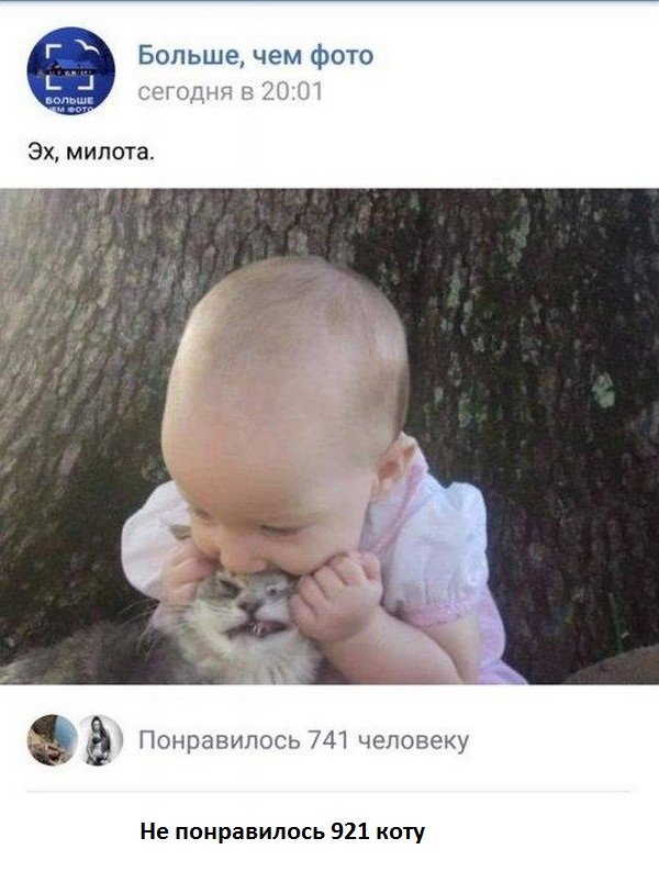 18 картинок