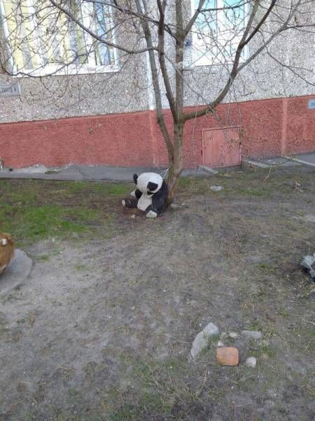 Смешные картинки