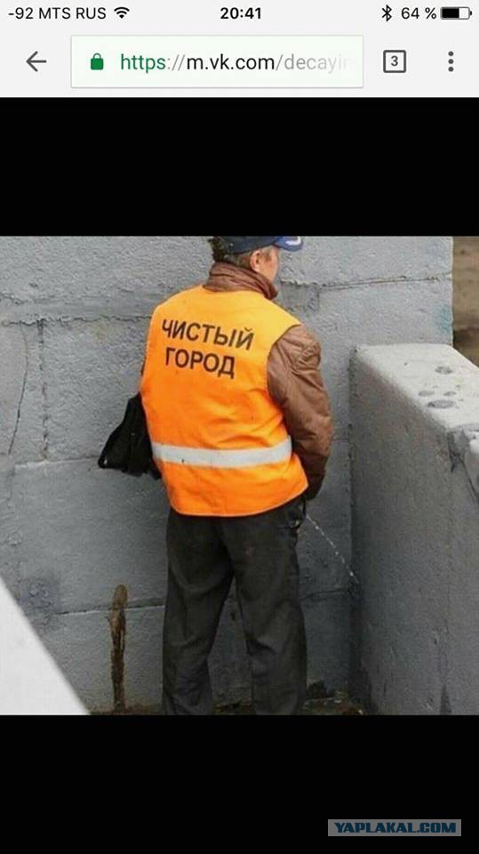 Переживающий за Родину свин.
