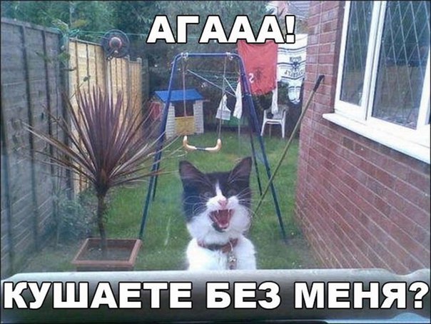 Картинки с надписями на разные темы - 2