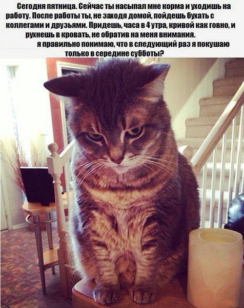 Трезвенники вообще ещё остались?