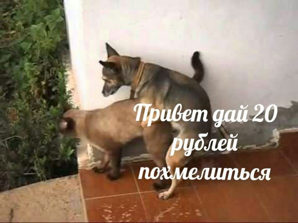 Приколы в стиле "регресс"