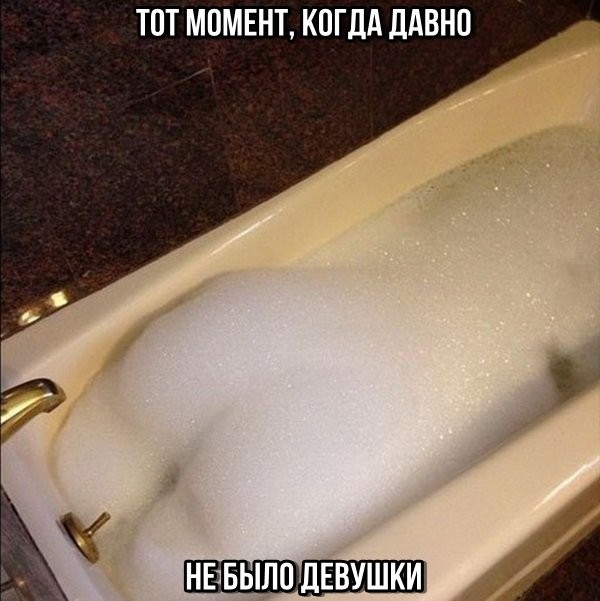 Лента прикольных картинок