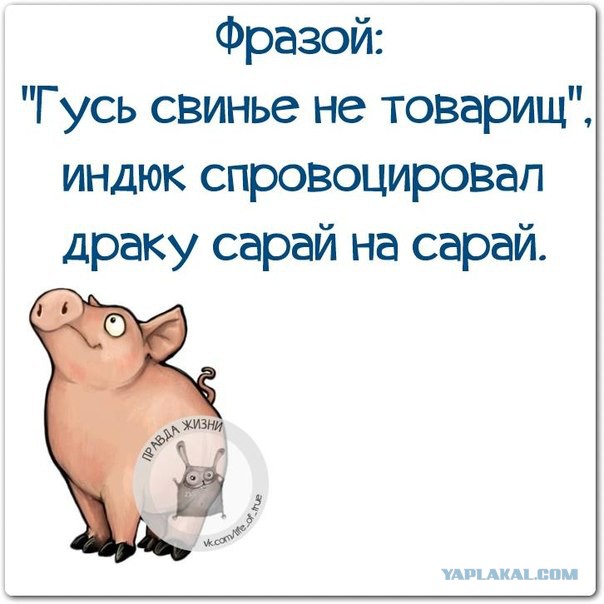 Переплюнувшие Шарикова