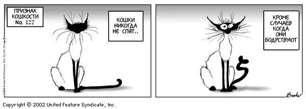 Признаки кошкости