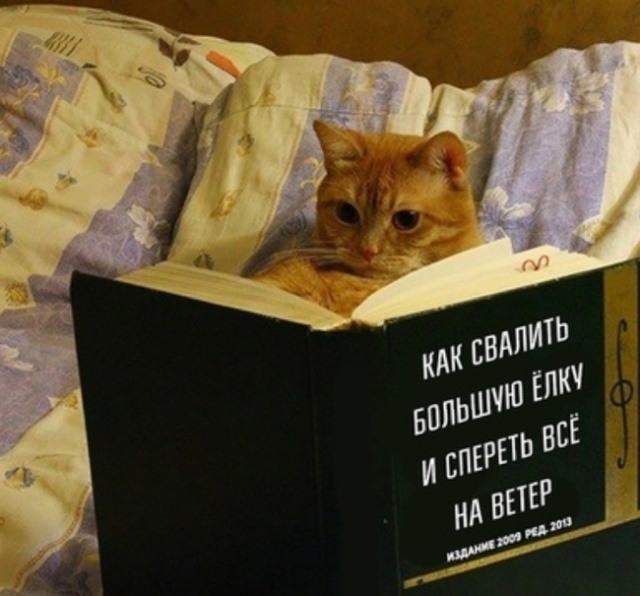 Милоты пост
