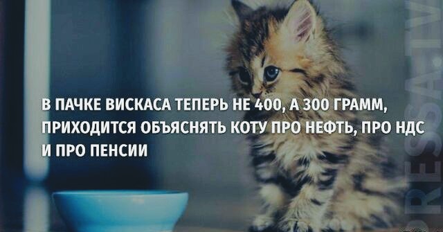 Немного картинок в этот понедельник
