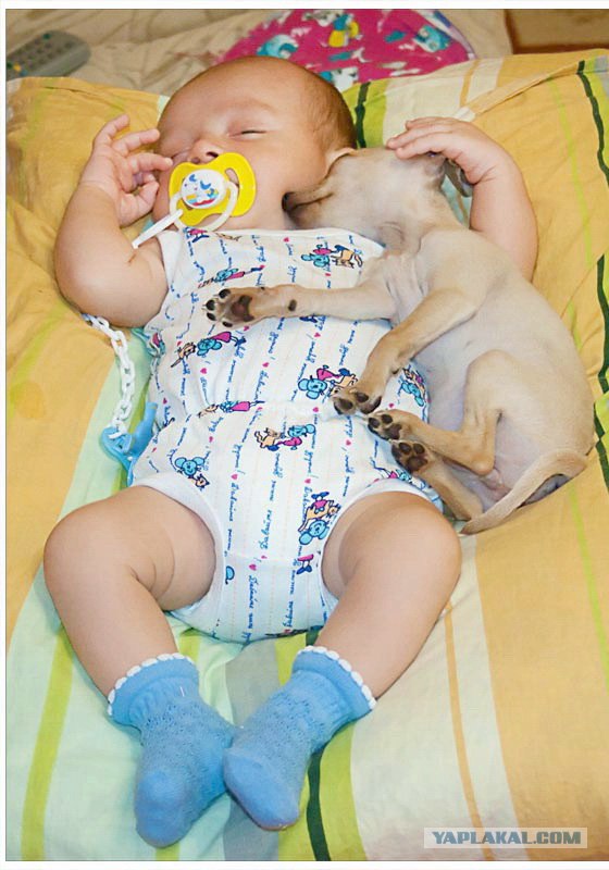 Лучшие друзья навсегда