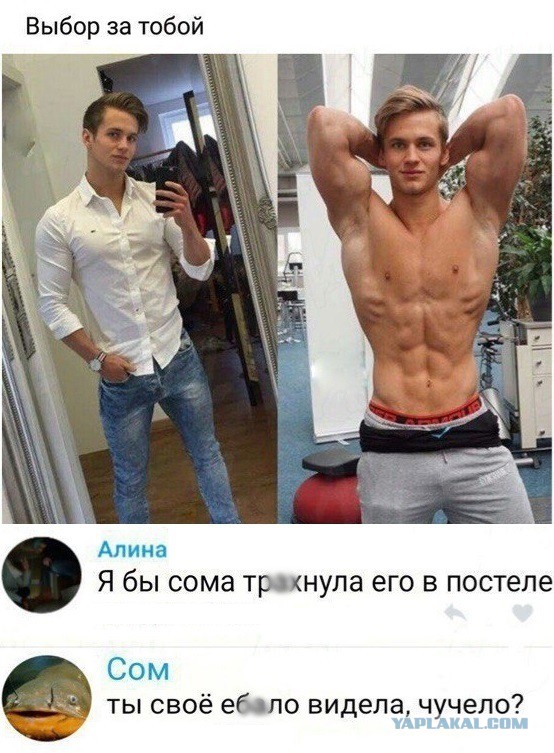 Картинки с текстом