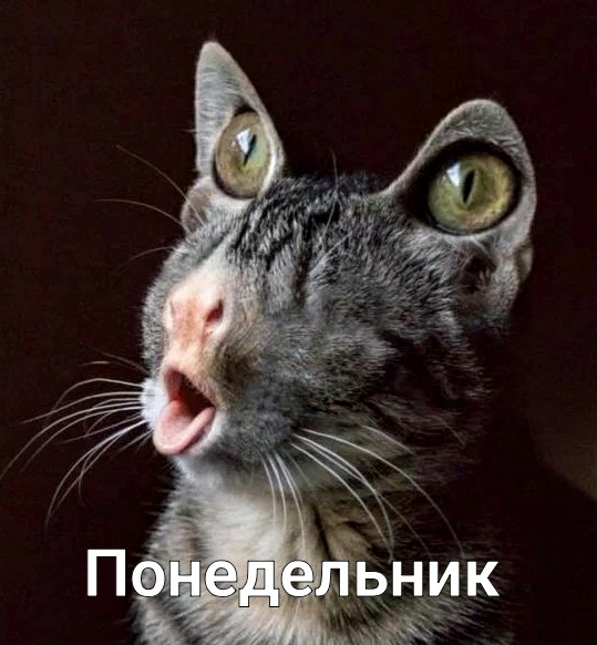 Картинки с надписями и анекдоты 21.07.19