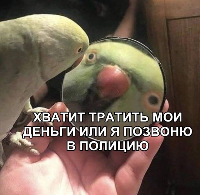Картиношный винегрет с щепоткой упоротого юмора