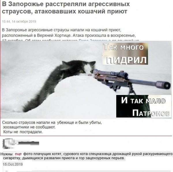 Картинки для улыбнуться 5.0