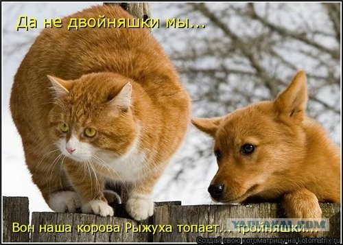 Немного картинок для настроения 07.12.19