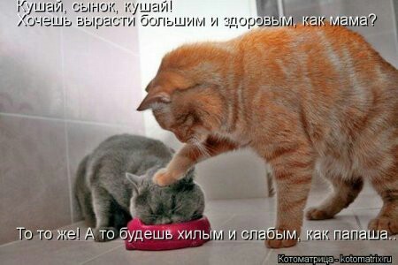 Картинки с надписями и без