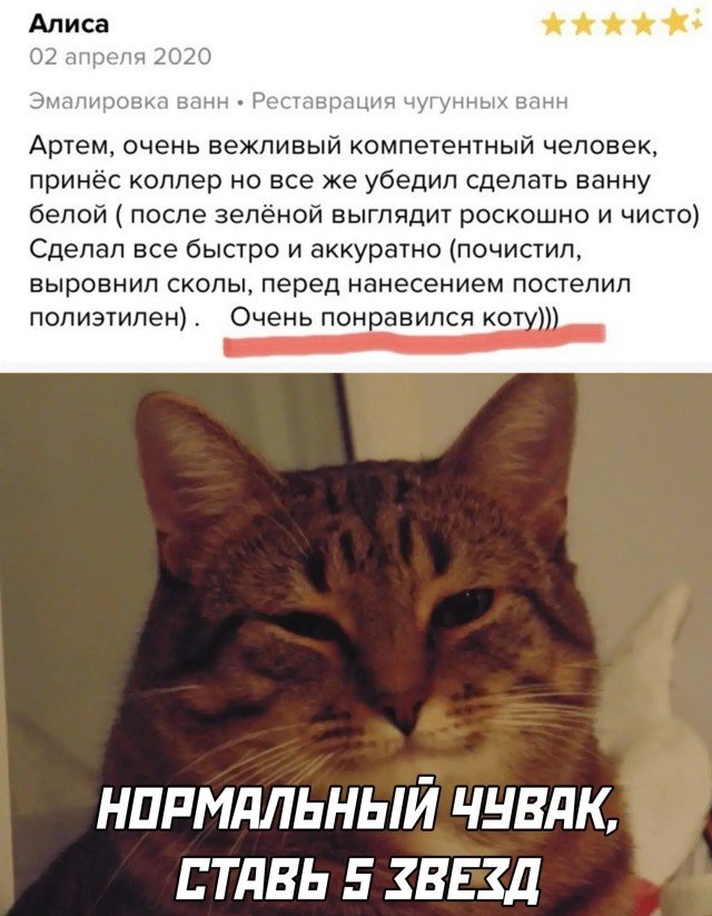 Разные картинки во вторник. С котами