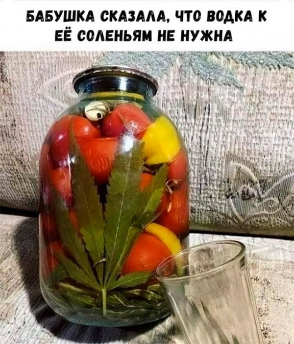 Прикольные и просто красивые картинки 10.11.2020