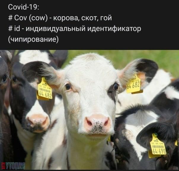 Путин поручил рассмотреть вопрос о сертификатах вакцинированным от COVID-19