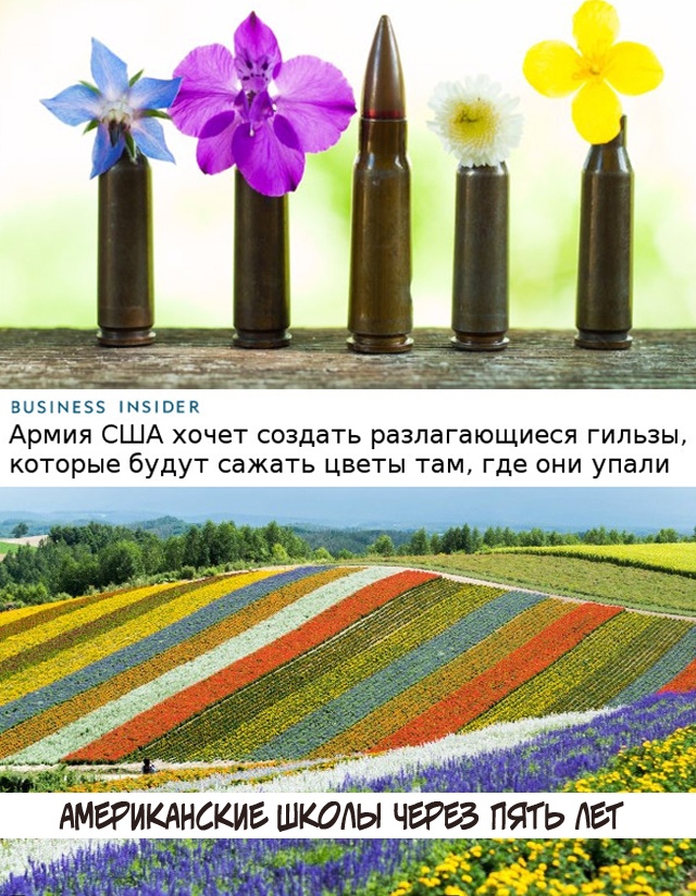 Так себе картинки 24.02.21