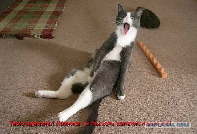 Джулия Робертс настолько страшная