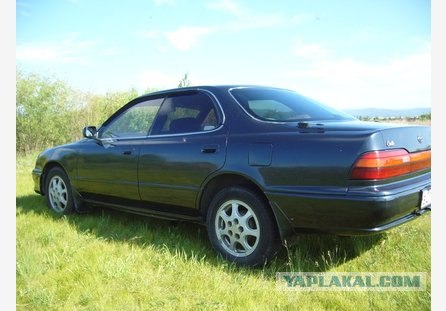 Праворульщик не заметил на встречке  200-й Крузер