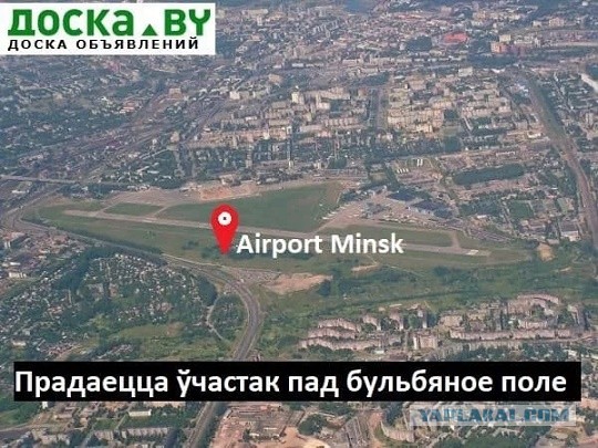⚡️В Belavia сообщили о сокращении 50% сотрудников