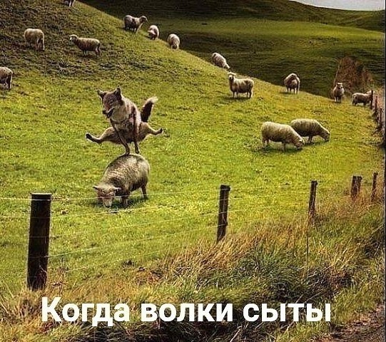 Кучка всяких картинок 08.06.2021