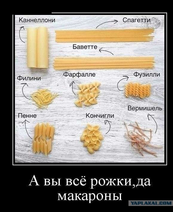 Весёлый полтишок 6.08