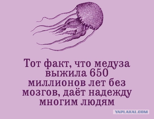 Предатель фотографирует фейк про сахар