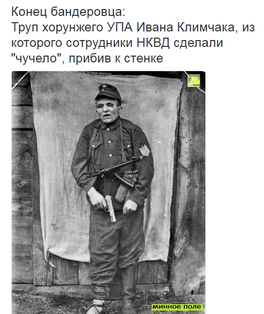 Как советские спецслужбы разгромили ОУН-УПА