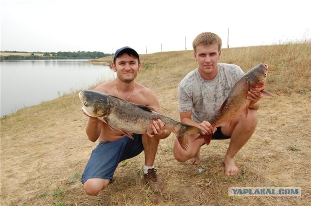 Удачная рыбалка