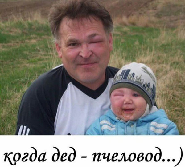 Фото-винегрет-4. Картинки ниапчём и обо всём
