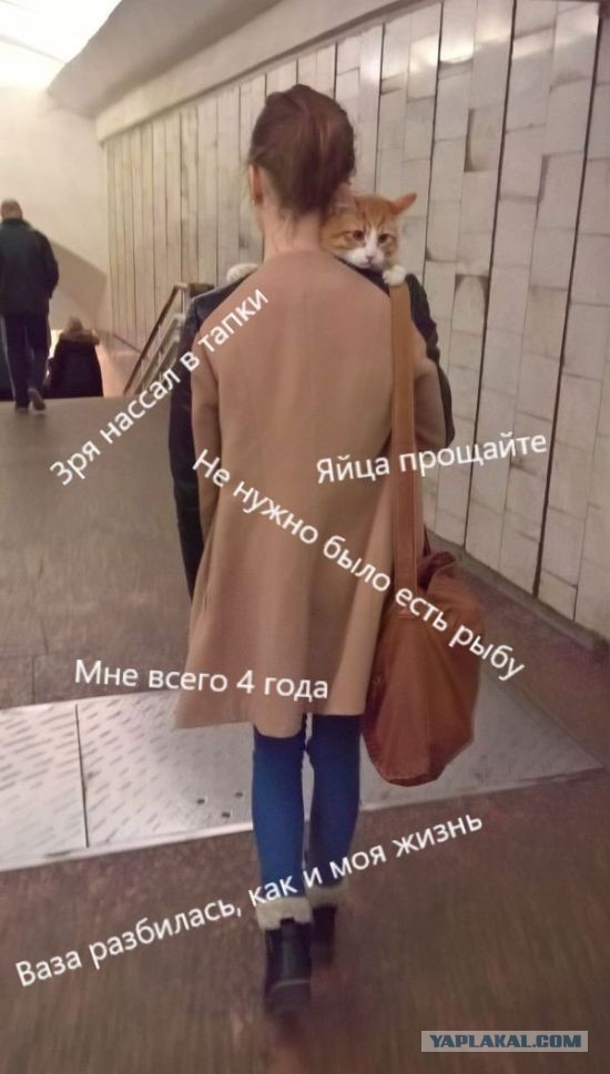 Не отдавай меня!