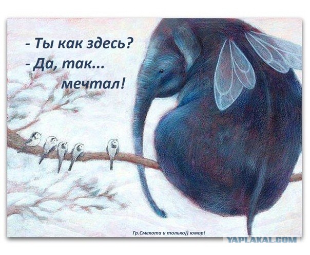 Последствия, с которыми может столкнуться мужчина, решивший создать семью с разведенной