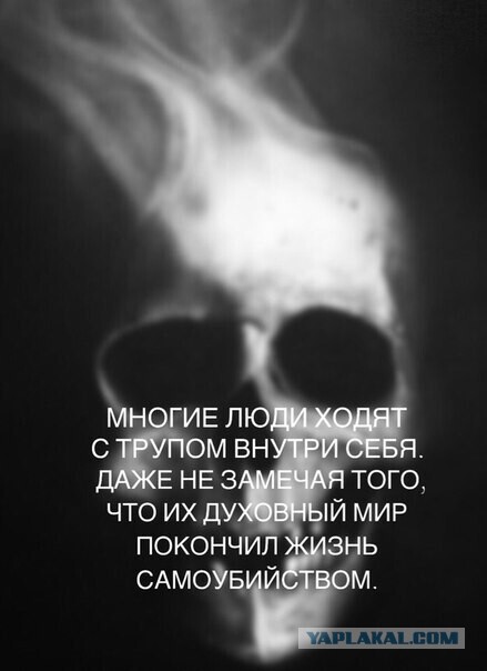 Вечерняя прогулка