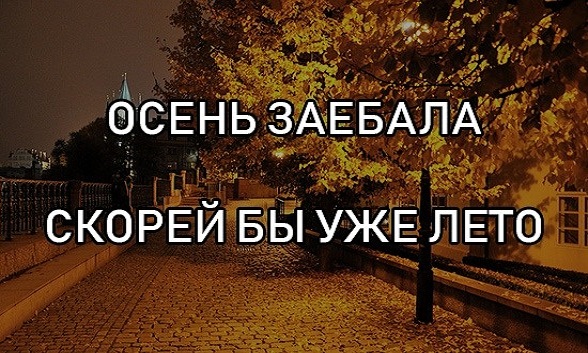 Картинки и мемы для настроения - 133