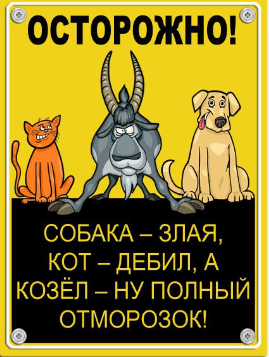 Что делать, если вдруг повстречал волка?