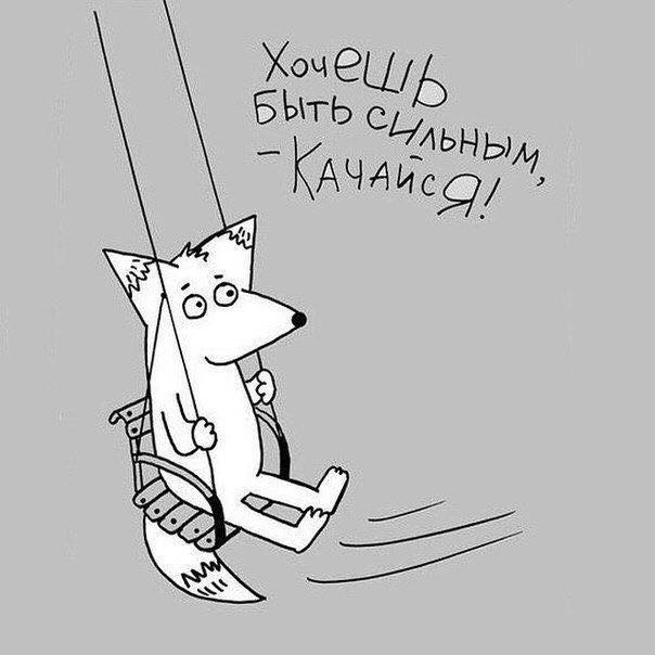 Прикольные и просто красивые картинки 04.07.2023