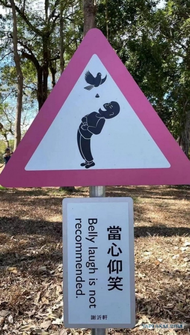 ФотоВинегрет